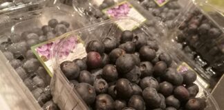 Strauchbeerenernte 2025 um gut 23 Prozent gestiegen