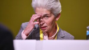 Strack-Zimmermann erwartet keinen "leichten Weg" für FDP