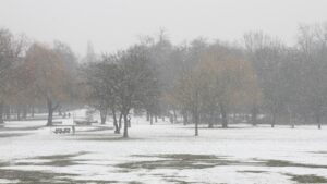 Winter erneut zu mild und zu trocken