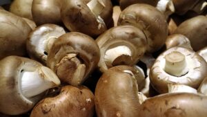 Speisepilzernte geht zurück – Champignons weiter Spitzenreiter
