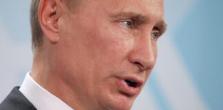 Diplomatin Tagliavini für direkte Gespräche mit Putin