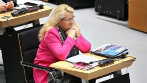 Berliner AfD wählt neuen Landesvorstand – Brinker wiedergewählt