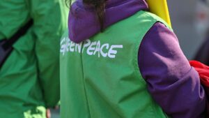 Greenpeace drängt auf stärkere Kontrolle von Billigimporten