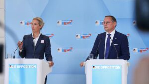 Insa: AfD verliert nach Einstufung als "rechtsextremistisch"