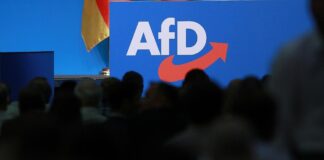 Bericht: US-Regierung erwog Sanktionen wegen AfD-Überwachung