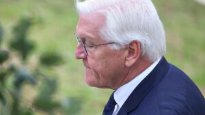 Gericht verurteilt Mann wegen Verunglimpfung des Bundespräsidenten