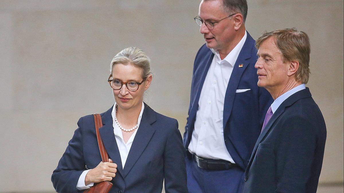 Alice Weidel, Tino Chrupalla und Bernd Baumann (Archiv), via dts Nachrichtenagentur