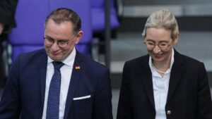 Forsa: AfD weiter auf Rekordniveau