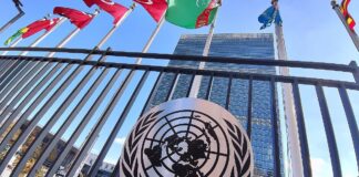 Epstein-Akten: UN-Vertreterin pocht auf Einsatz für Frauenrechte