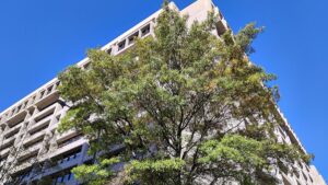 IWF sieht starke Parallelen zur Dotcom-Blase