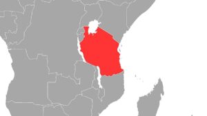 Fünf Tote bei Absturz von Hubschrauber am Kilimandscharo