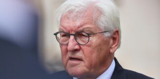 AfD kritisiert Steinmeier nach Aussagen zu möglichem Parteiverbot