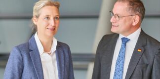 Umfrage: Enttäuschung über Regierungspolitik stärkt AfD am meisten