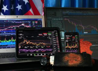 Warum Bitcoin für immer mehr Menschen zur Alternative wird Bitcoin Wandel im Finanzsystem und Vertrauen stärken Bild von Sergei Tokmakov, Esq. https://Terms.Law auf Pixabay