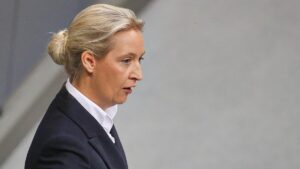 CDU und Grüne kritisieren Weidel für Verfassungsschutz-Aussage