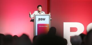 BSW will Wehrdienst-Gesetz im Bundesrat stoppen