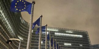 EU-Rat gibt grünes Licht für Mercosur