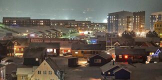 Grönland-Konflikt: CDU-Politiker für Digitalsteuer und Gegenzölle