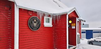 Rufe nach WM-Boykott wegen Grönland-Konflikt mehren sich