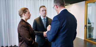 Merz verspricht Dänemark und Grönland "Solidarität"