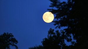 CSU will Deutschland zum Weltraumzentrum Europas machen