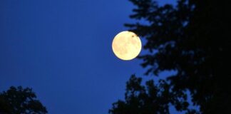 CSU will Deutschland zum Weltraumzentrum Europas machen