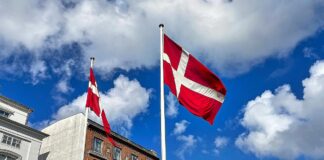 Grönland: Dänischer Ex-Minister will Abschreckung gegenüber USA