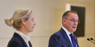 Chrupalla will erneut mit Weidel für AfD-Vorsitz kandidieren
