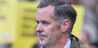 Stromausfall: FDP fordert Wegner zu Rücktritt auf