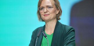 Brantner will härteres Vorgehen gegen Online-Plattformen