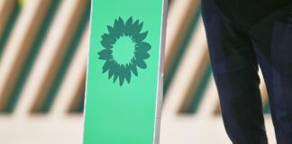 Grünen-Fraktion will Jugendforum einsetzen