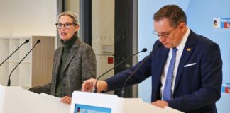 Politbarometer: AfD büßt ein – Grüne legen zu