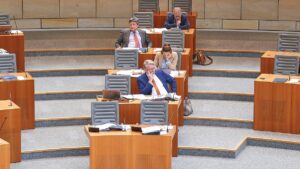 AfD-Landtagsabgeordnete beschäftigen besonders viele Mitarbeiter